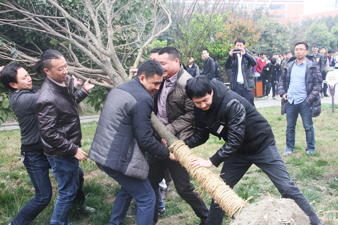 植樹(shù)節(jié):讓愛(ài)與綠色傳遞