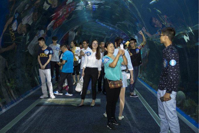 夏令營(yíng)第二季，新華學(xué)子一起遨游海洋王國(guó)