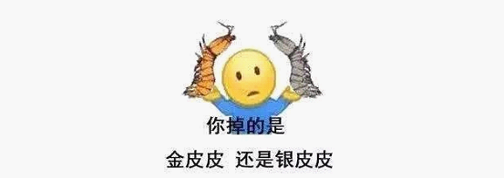 最近刷屏的“皮皮蝦”你知道是什么梗嗎？來，走起