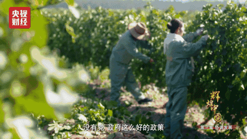 喜迎十九大，國(guó)力強(qiáng)盛人民歡慶