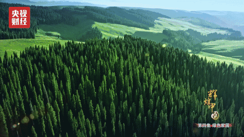 喜迎十九大，國(guó)力強(qiáng)盛人民歡慶