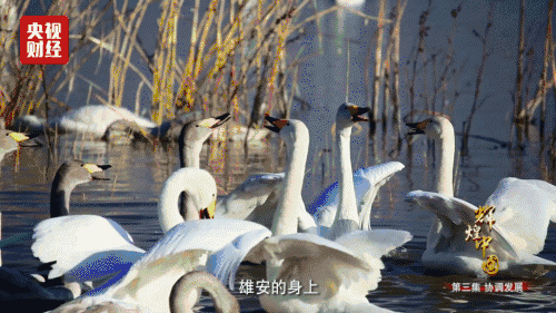 喜迎十九大，國(guó)力強(qiáng)盛人民歡慶