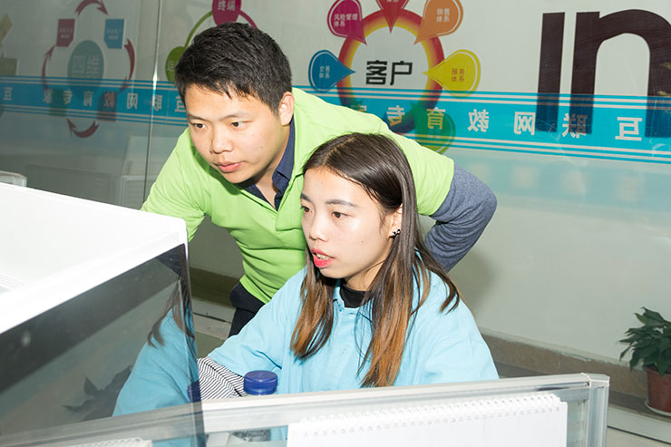 嗨爆雙十一！四川新華電腦學(xué)院助力水星家紡?fù)黄?.29億