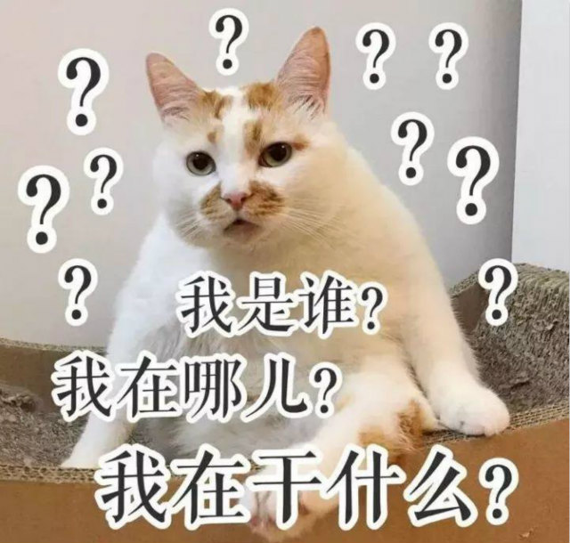 雙十一最新熱詞出爐，快來(lái)看看你有沒(méi)有中槍？