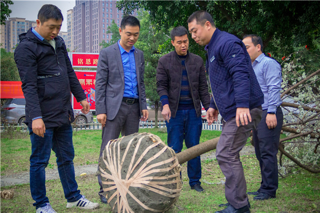 植樹節(jié)，在夢想的地方栽下希望的綠色！