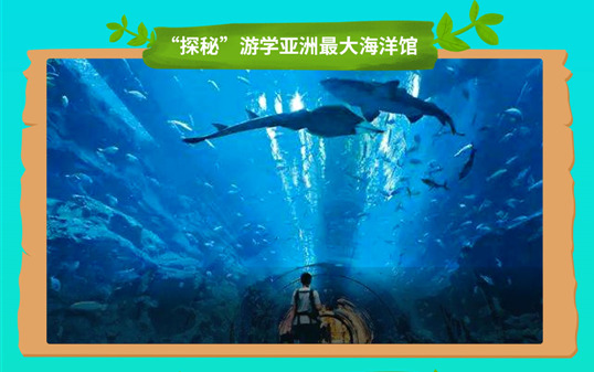 五一去哪兒？新華IT夏令營嗨爆小長假！