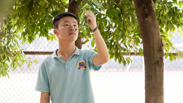 付忠?guī)洠焊绺缤扑]我來四川新華學(xué)互聯(lián)網(wǎng)技術(shù)