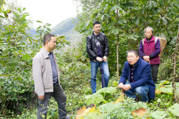 新華教師奮進(jìn)擔(dān)當(dāng)，用技能脫貧托舉希望