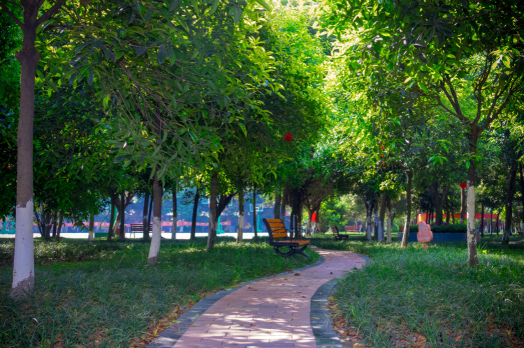 擇校心不慌 明星來探路！這份攻略你一定要看一下！