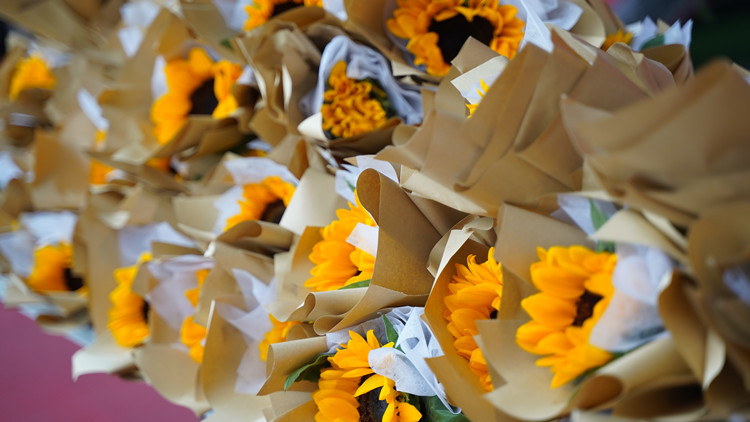 致敬“最美新華人”禮贊師恩！