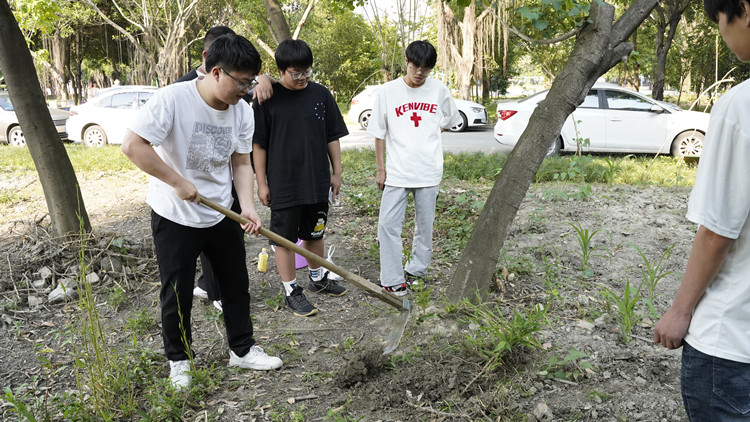 新風(fēng)采新青年|寓教于“種”，新攀高峰