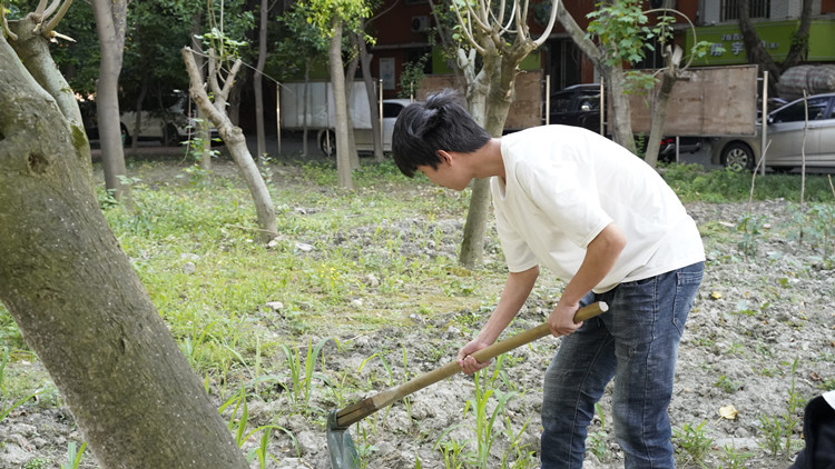 新風(fēng)采新青年|寓教于“種”，新攀高峰