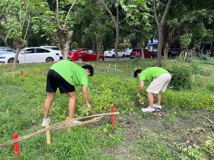 豐收季來襲！新華農(nóng)場喜迎豐收季~