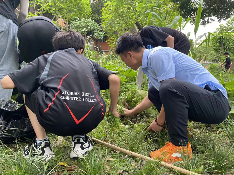 我負(fù)責(zé)雨露陽光，你負(fù)責(zé)茁壯成長