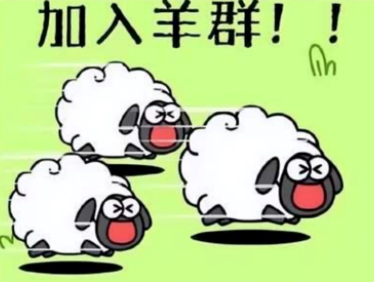 羊了個(gè)羊？成都新華四步帶你無(wú)限通關(guān)！