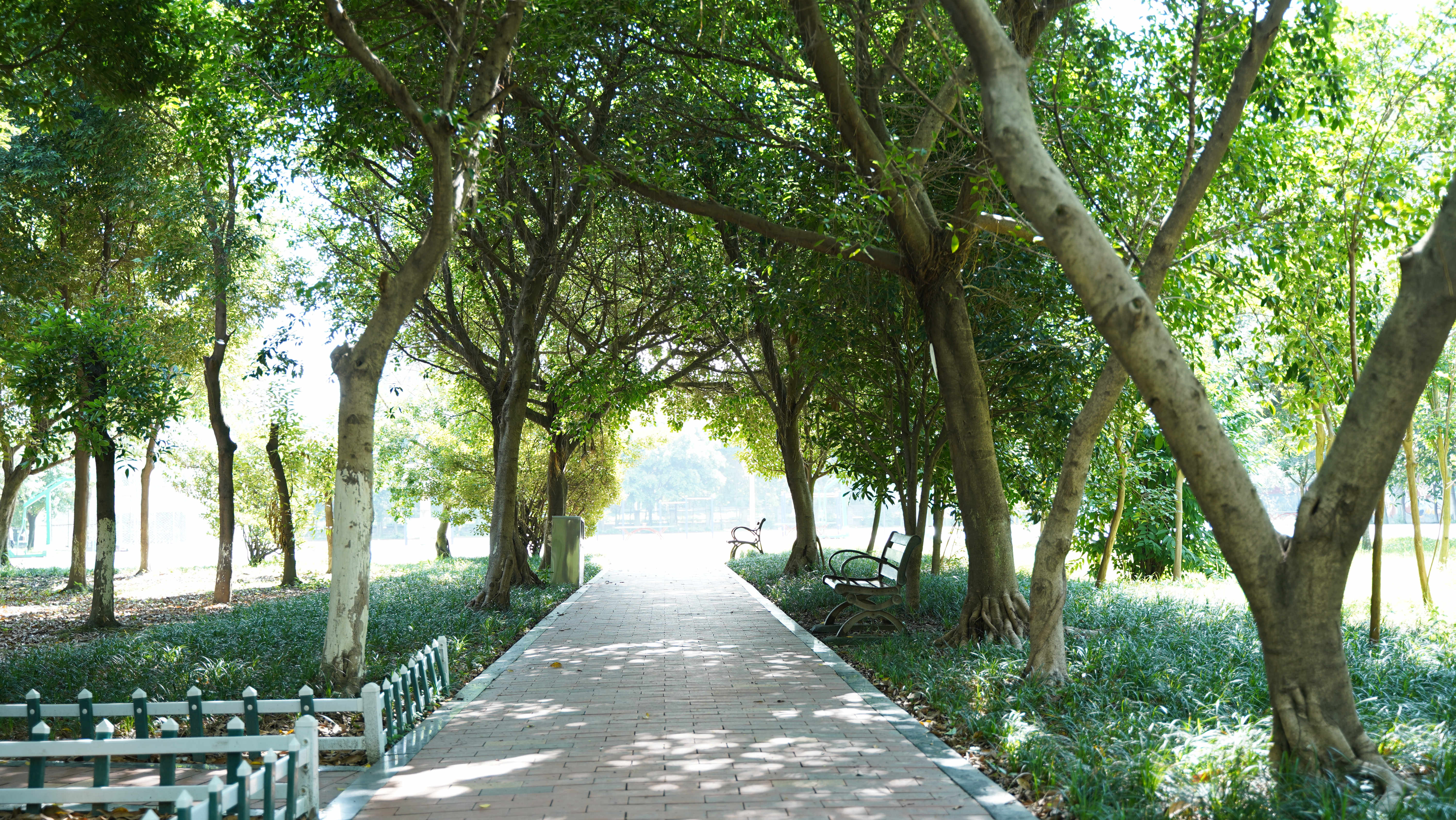 考不上初中怎么選學(xué)校？