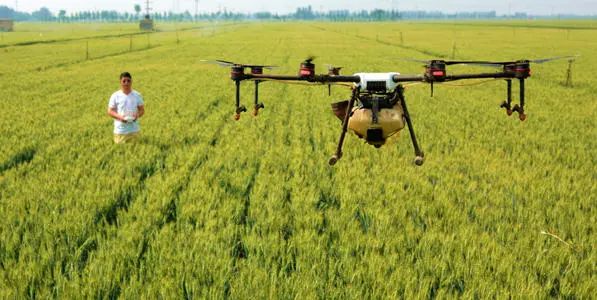 不想進廠，學(xué)真技術(shù)，就好業(yè)