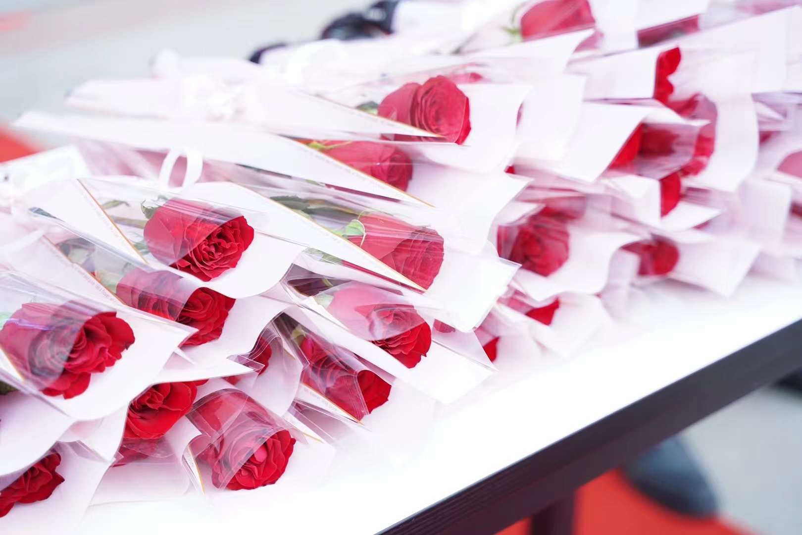 婦女節(jié)！獻(xiàn)給所有成都新華的女老師們