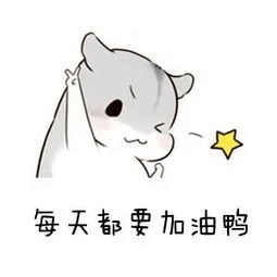 2024年成都新華秋季預(yù)科班火熱開啟！