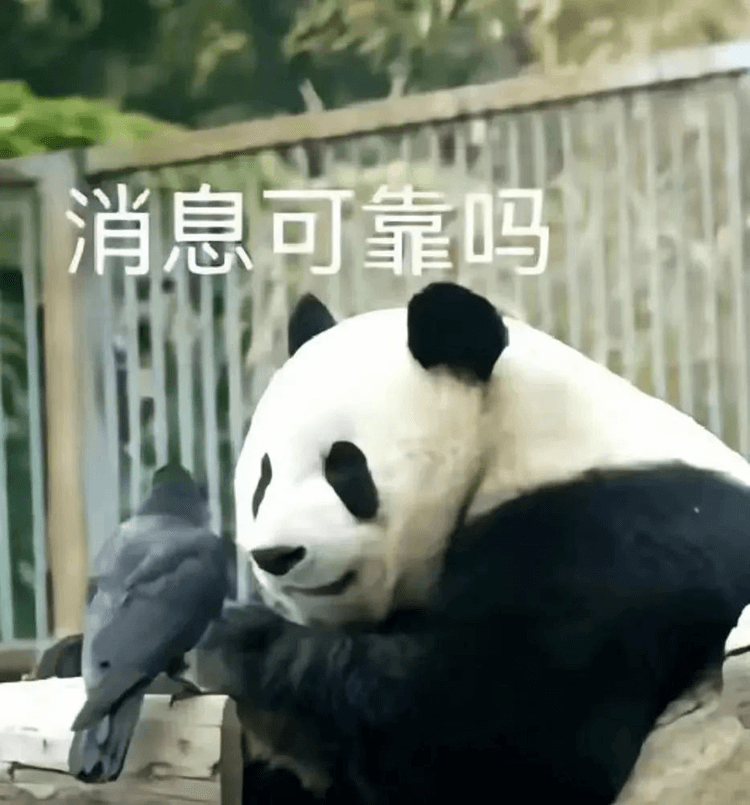 對(duì)口高考：升學(xué)壓力低，還可以沖本科