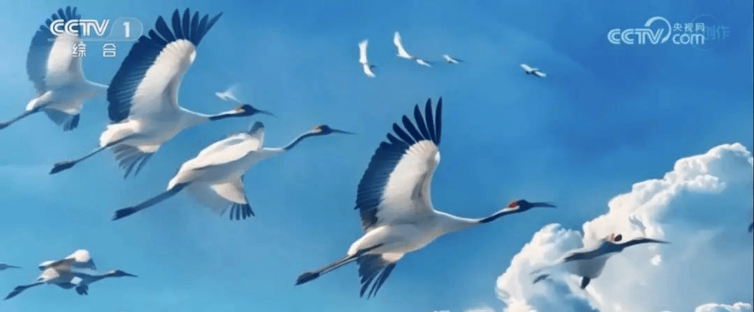 在就業(yè)形式嚴(yán)峻之下，新華這類人才卻被市場熱搶